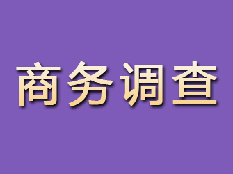 凤台商务调查